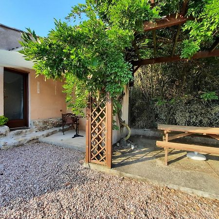 Le Lodge Des Chenes Brousses-et-Villaret Εξωτερικό φωτογραφία