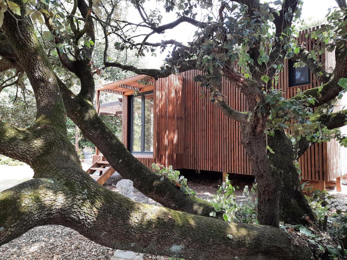 Le Lodge Des Chenes Brousses-et-Villaret Εξωτερικό φωτογραφία