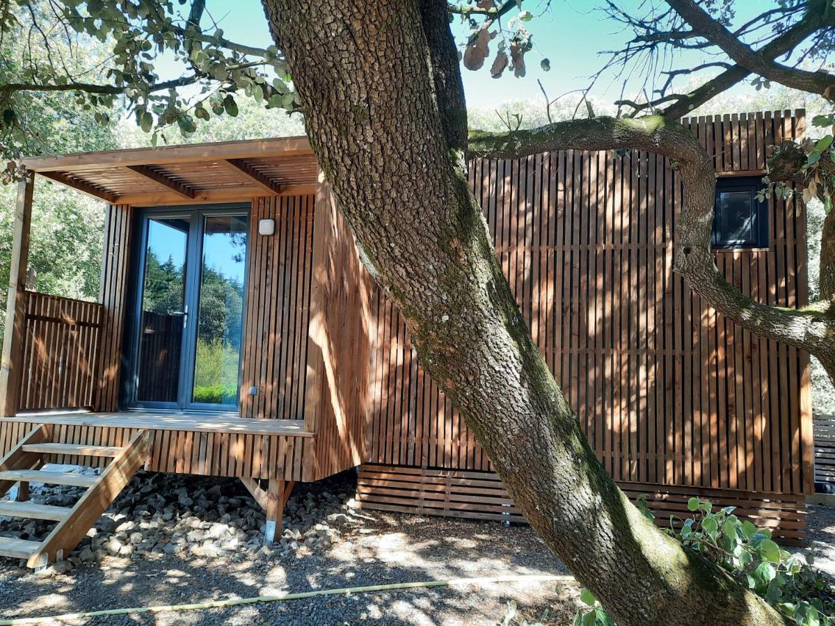 Le Lodge Des Chenes Brousses-et-Villaret Εξωτερικό φωτογραφία