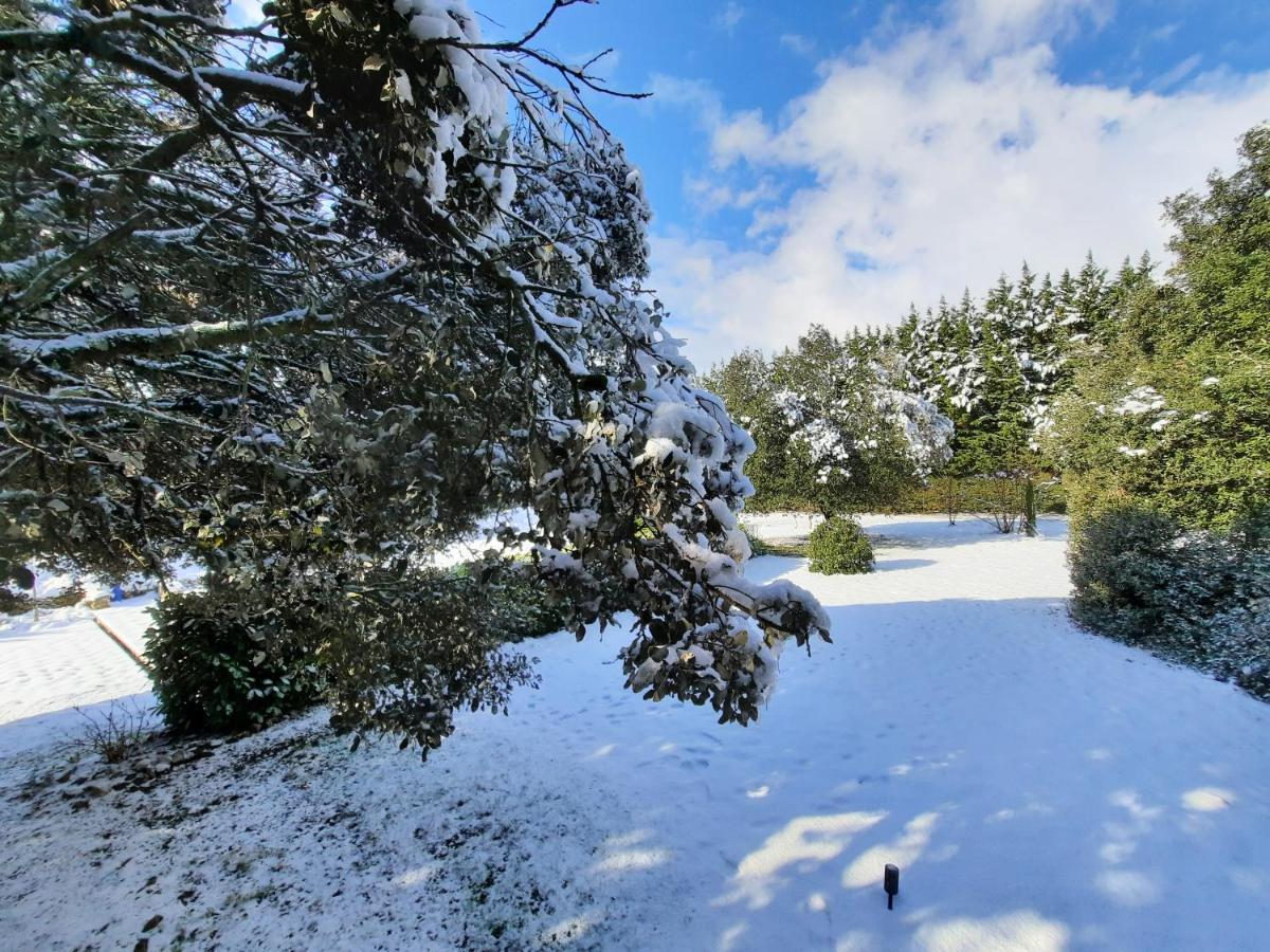 Le Lodge Des Chenes Brousses-et-Villaret Εξωτερικό φωτογραφία