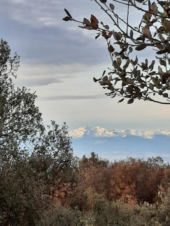 Le Lodge Des Chenes Brousses-et-Villaret Εξωτερικό φωτογραφία